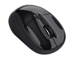 Ratón Trust Óptico Wireless RF Negro (24658)