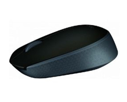 Ratón LOGITECH M171 Wireless 1000dpi Negro (910-004424)