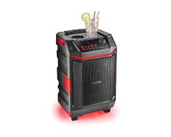 Altavoz Portátil NGS 300W BT/USB/AUX Negro (WILDBASH)